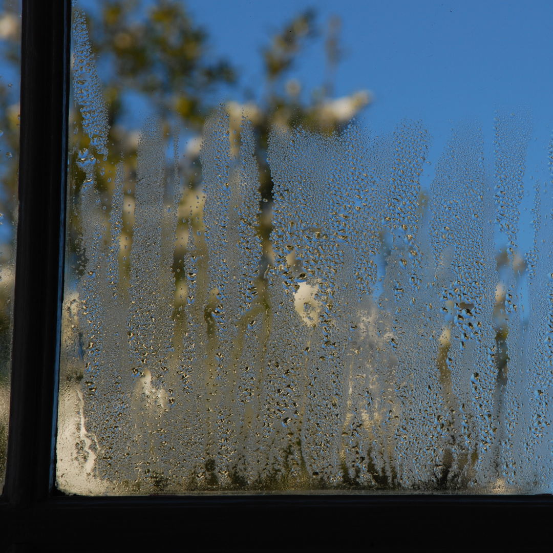 condensação janela Apolo Trailer